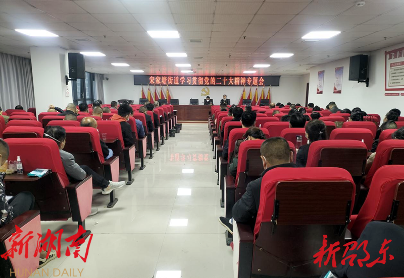宋家塘街道:踔厉奋发谱华章 勇毅前行向未来_邵阳头条网